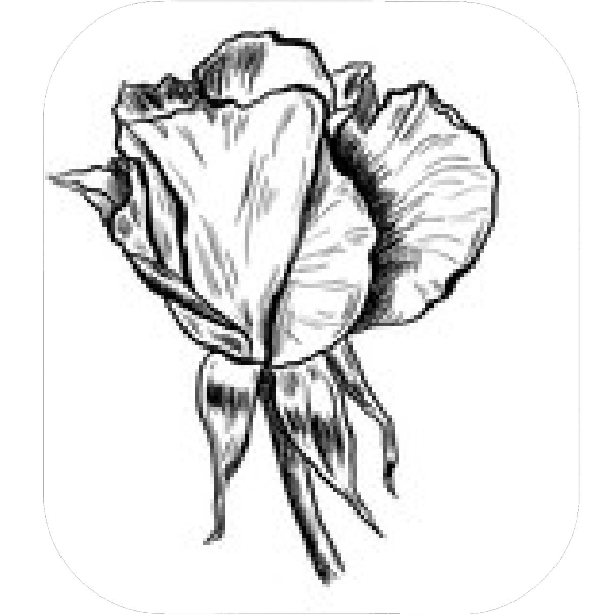 1200x1200 Designs Mein Mousepad Design Mousepad Selbst Designen