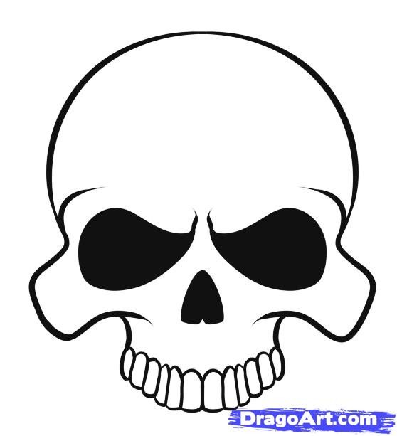 558x613 On Simple Skull Drawing