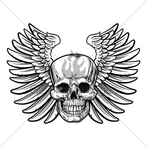 500x500 Winged Skull Drawing Gl Stock Images