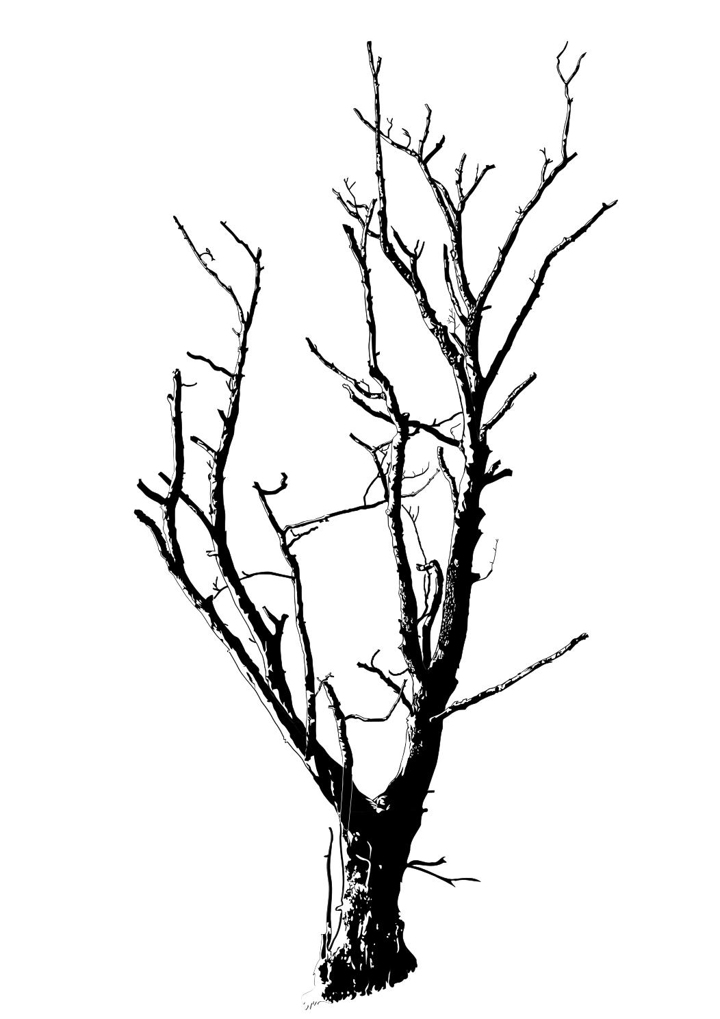 1052x1488 Dead Tree Detailed Clipart