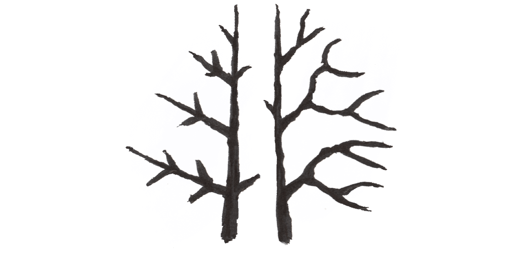 1024x512 Tree Growing Software