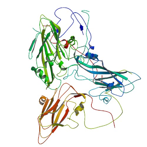 500x500 rcsb pdb