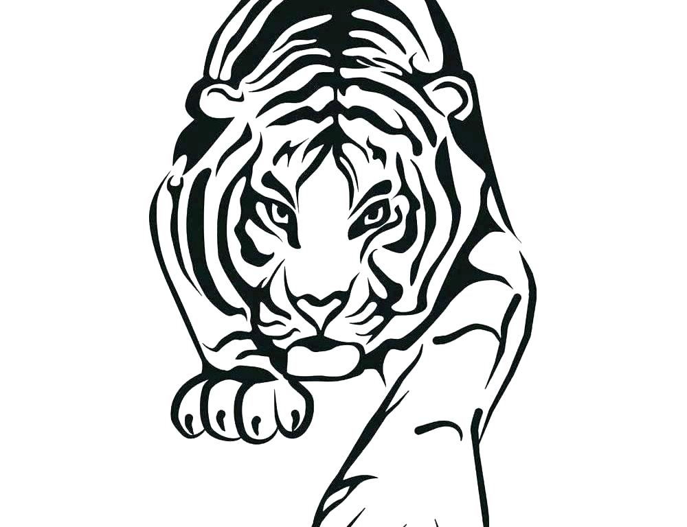1000x768 Printable Tiger Coloring Pages For Adults Detroit Tigers Shark