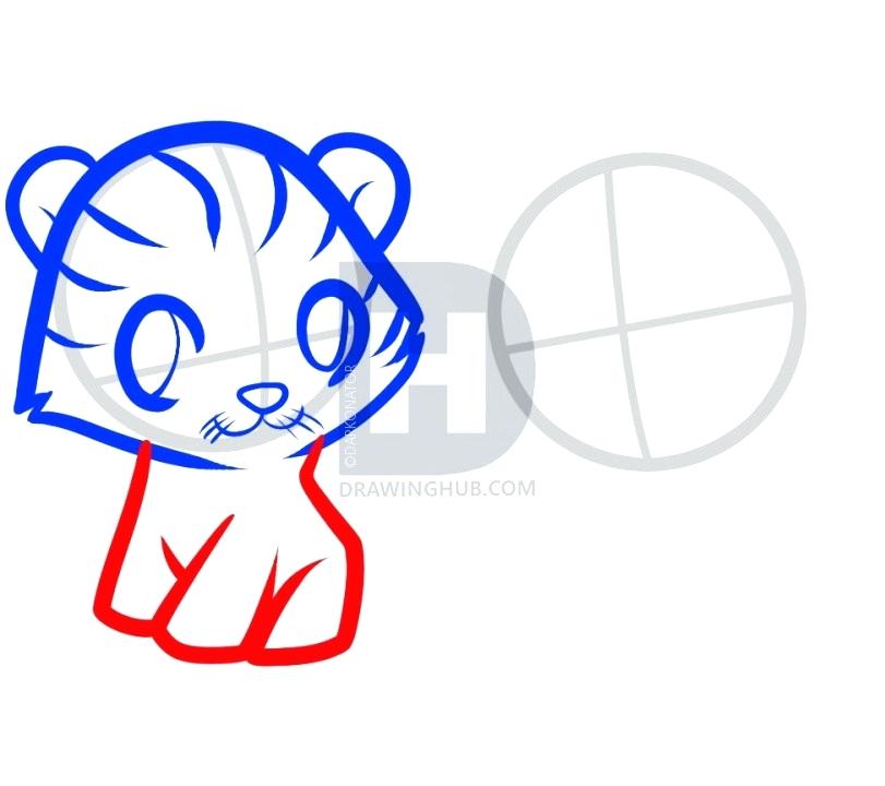811x720 How To Draw Tiger For Kids Nip