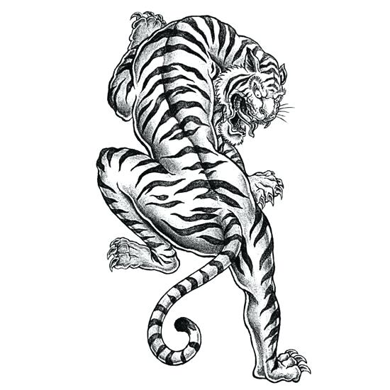 550x550 Coloring Pages Tiger Printable Coloring Pages Tigers Picture