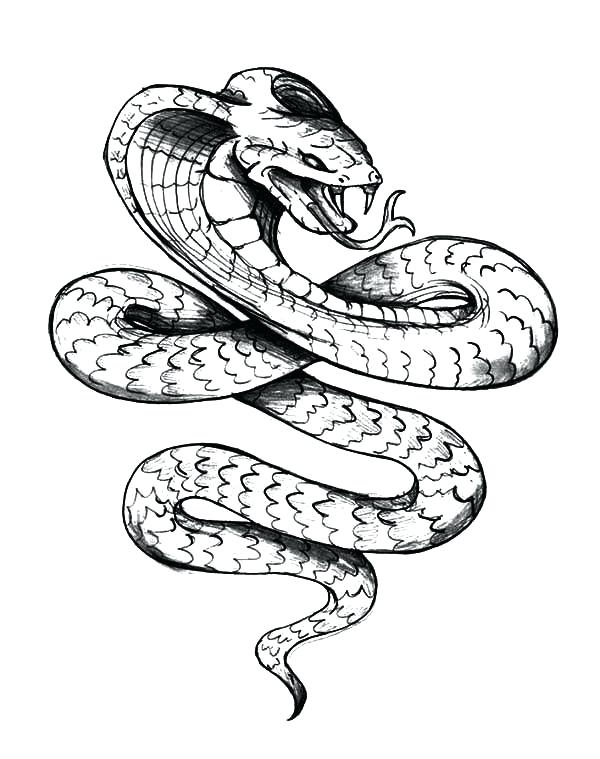 Diamondback Rattlesnake Drawing | Free download on ClipArtMag