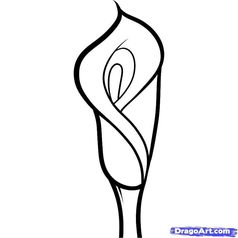 828x828 como dibujar una flor drawing a flower how to draw and paint