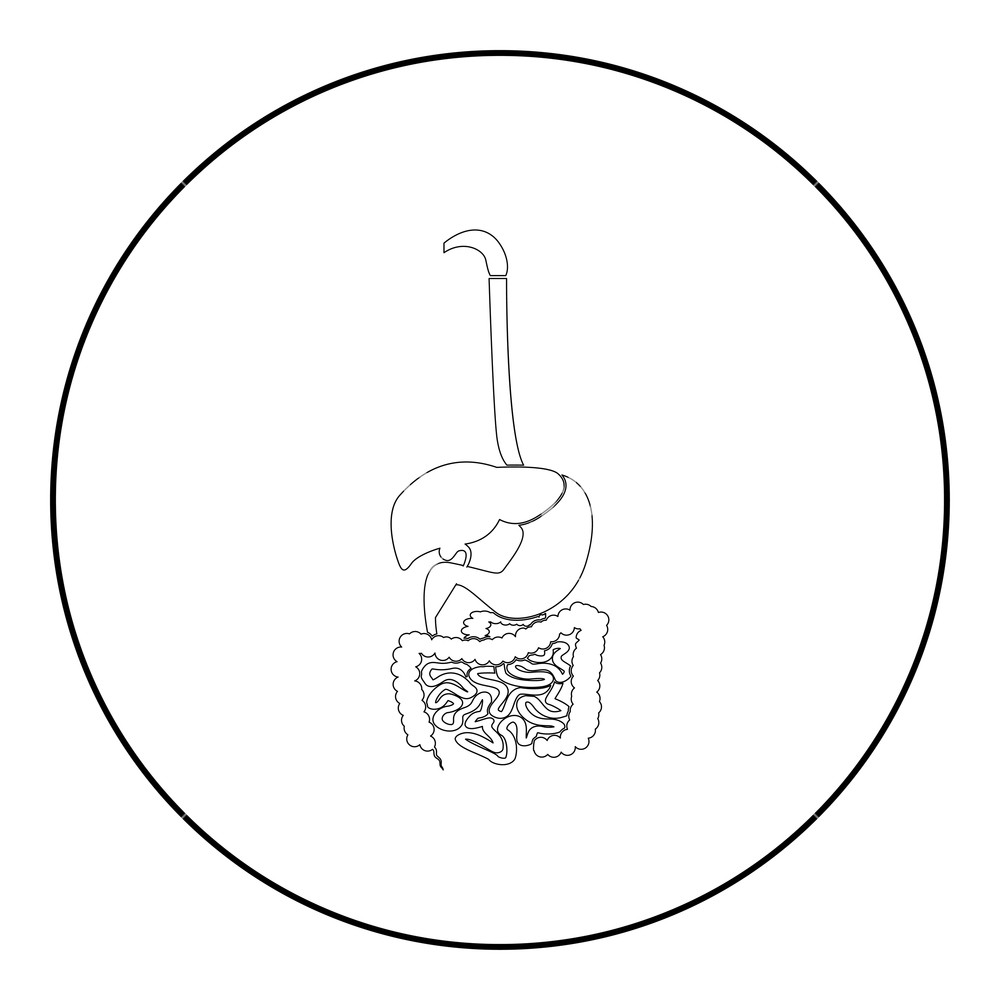 1000x1000 digestive system icon black color in round circle outline vector