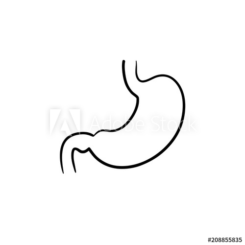 500x500 stomach digestion hand drawn outline doodle icon digestive tract