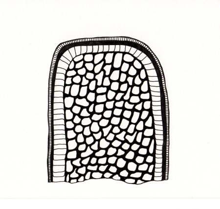 450x427 The Organs Of Digestion Blue Bicicletta