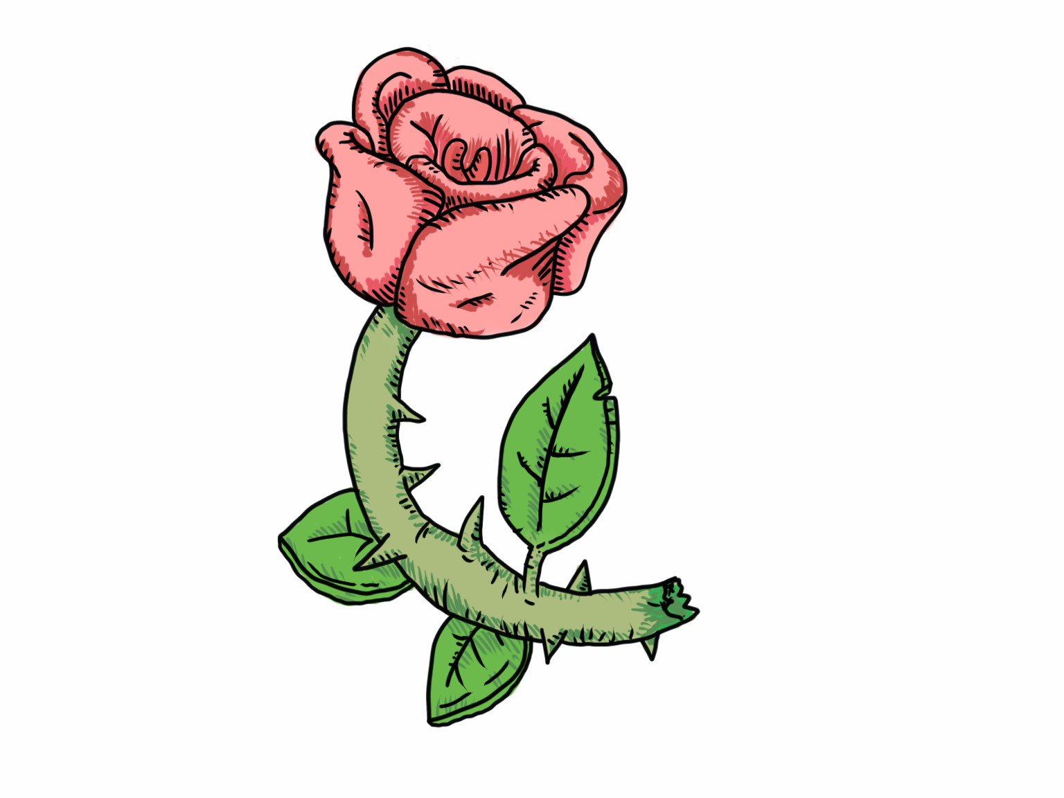 1536x1152 When I Draw A Rose