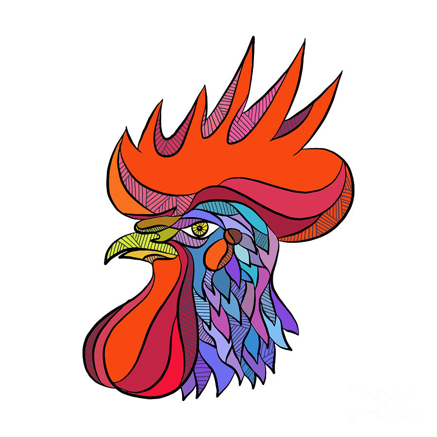 900x900 Chicken Rooster Head Side Drawing Digital Art