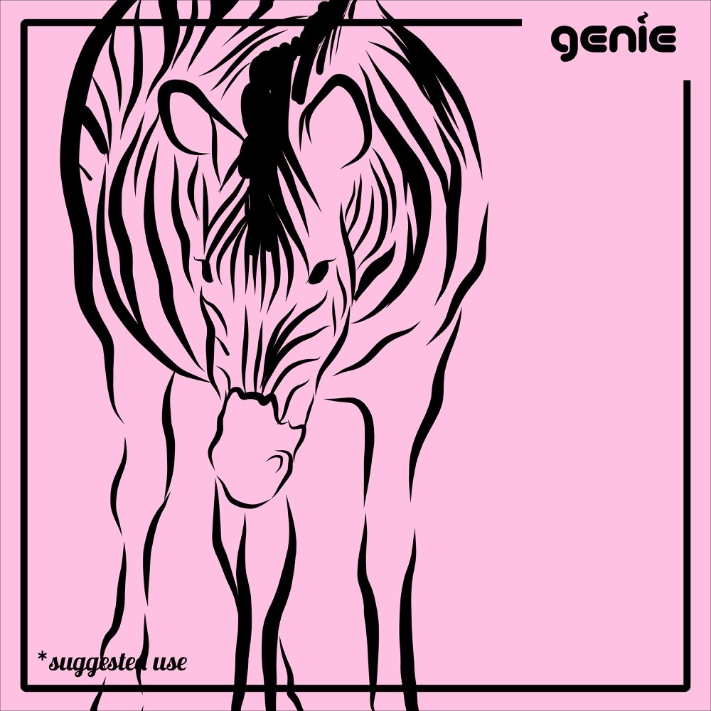 1000x1000 Zebra Vector Graphic Illustration Hand Drawn Drawing Clipart