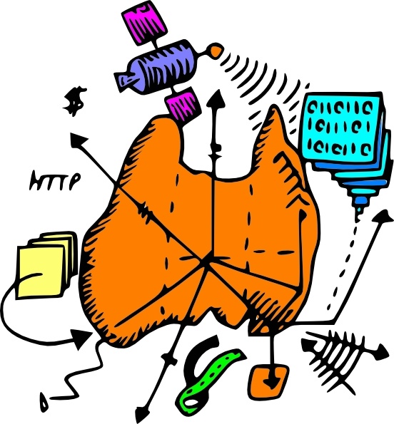 552x595 Digital Map Of Australia Clip Art Free Vector In Open Office