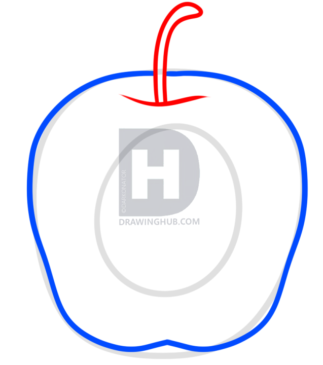 637x720 drawing rotten fruit, step