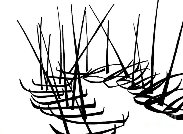 600x439 dinghy drawings fine art america