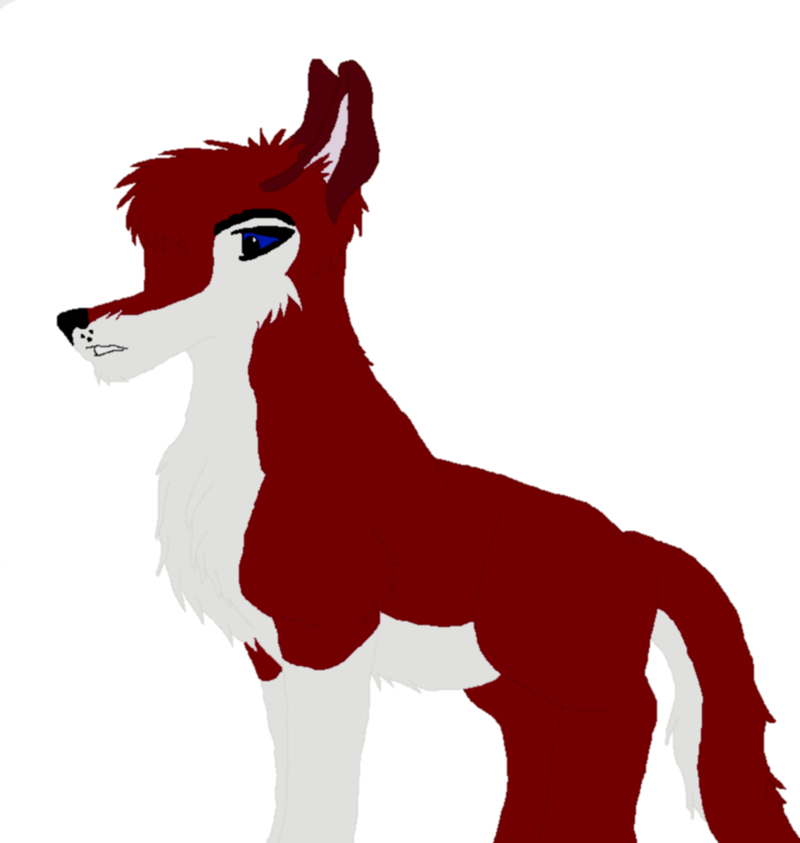 800x843 Fanart Eilzi Bob