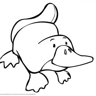 336x336 Dinosaur Bones Drawing Easy Head Long Neck Flying T Rex Raptor