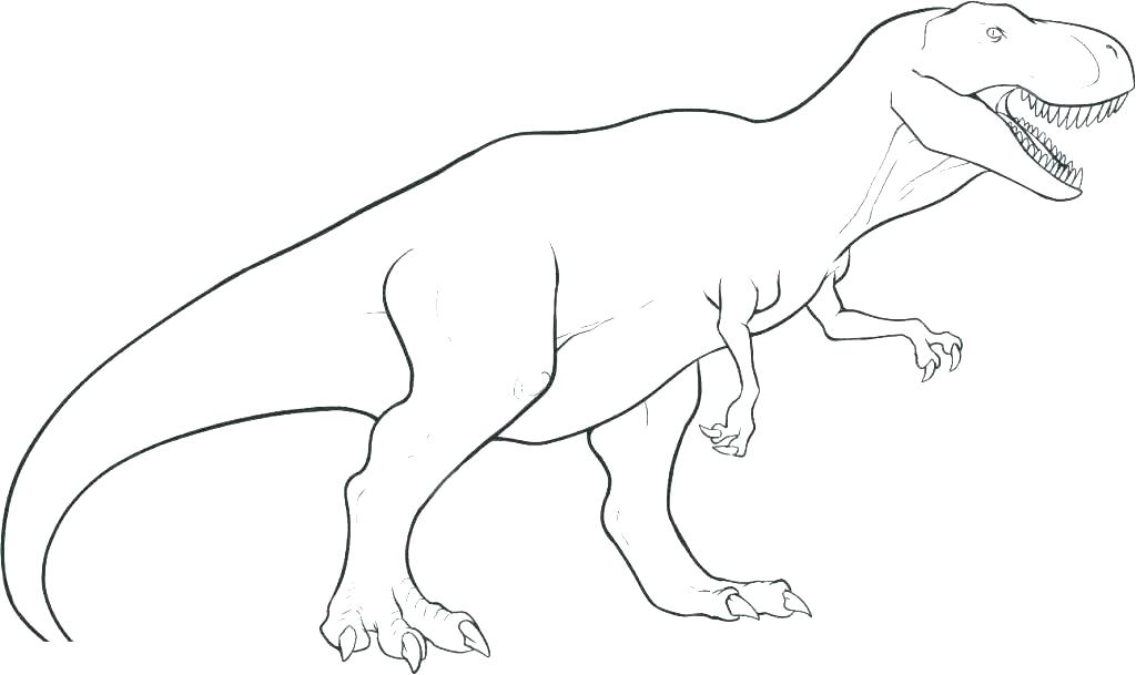 1024x609 Dinosaur Skeleton Coloring