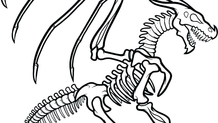 Dinosaur Bones Drawing | Free download on ClipArtMag