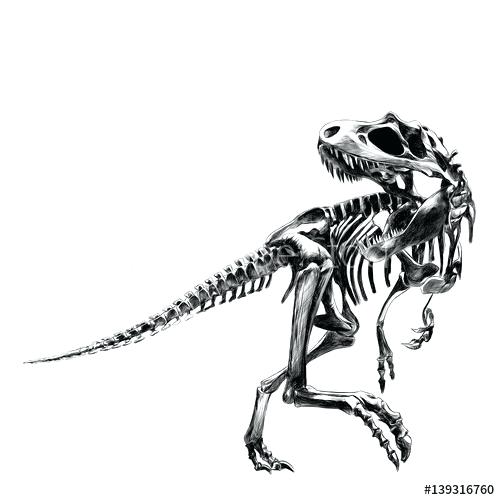 500x500 Dinosaur Skeleton Drawing Icons Dino Skeleton Drawing