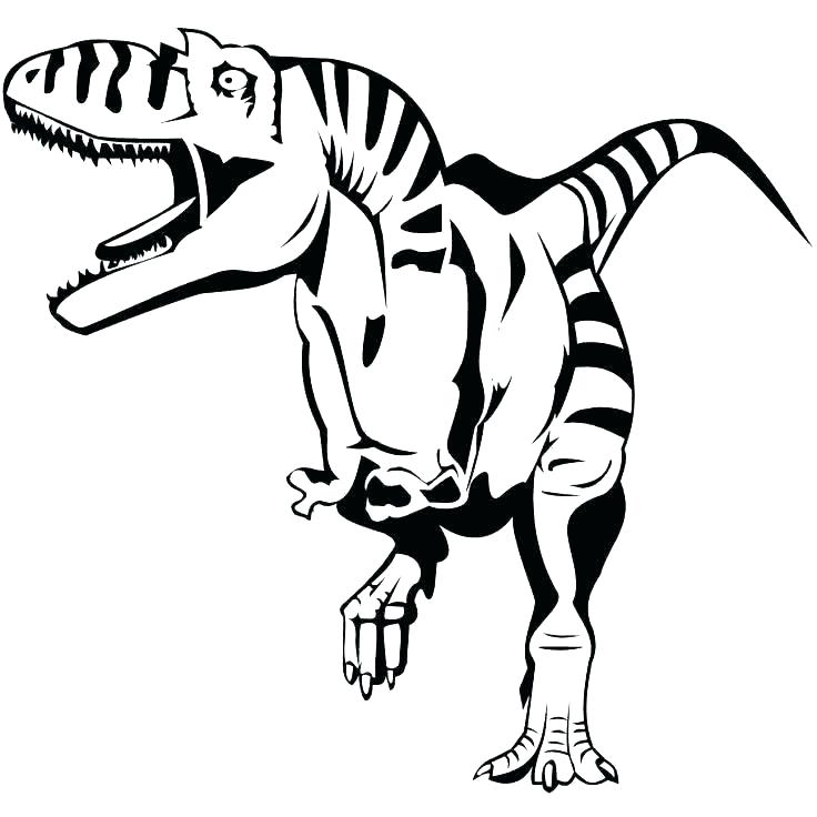 736x736 Dinosaurs Drawings