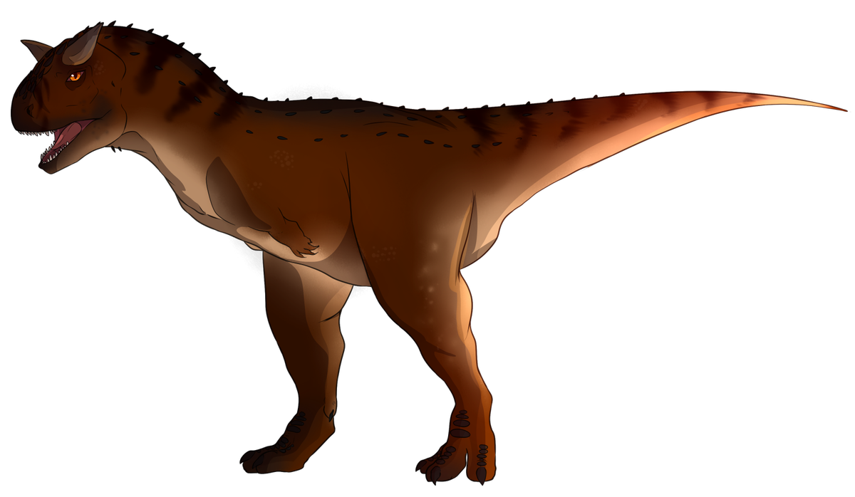 1200x698 Elusive Kiwi