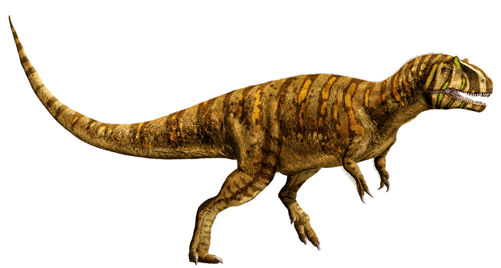 1007x540 collection of free spinosaurus drawing jurassic world game