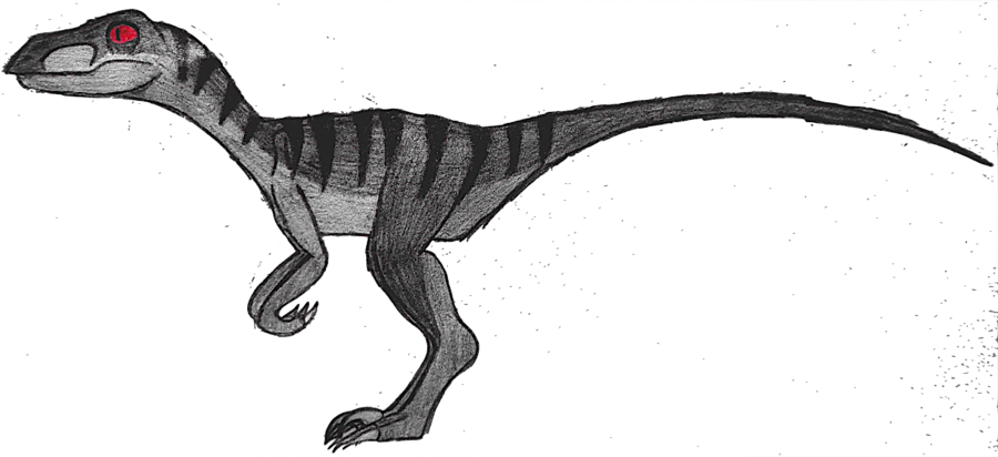 900x412 Drawing, Dinosaur, Illustration, Transparent Png Image Clipart