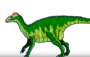 300x190 How To Draw A Edmontosaurus Dinosaur Easy Step