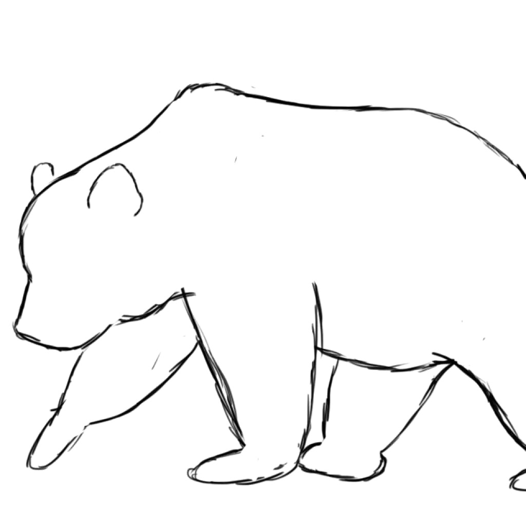 1024x1024 Bear Outline How To Draw A Drawings Outlines And Bears Dinosaur