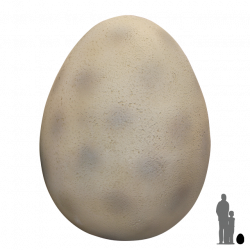 250x250 Drawing Egg Dinosaur, Picture