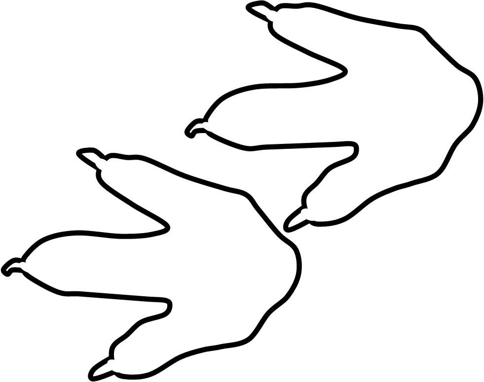 981x775 Place Large Cut Outs Of Numbered Dinosaur Footprints In A Circle