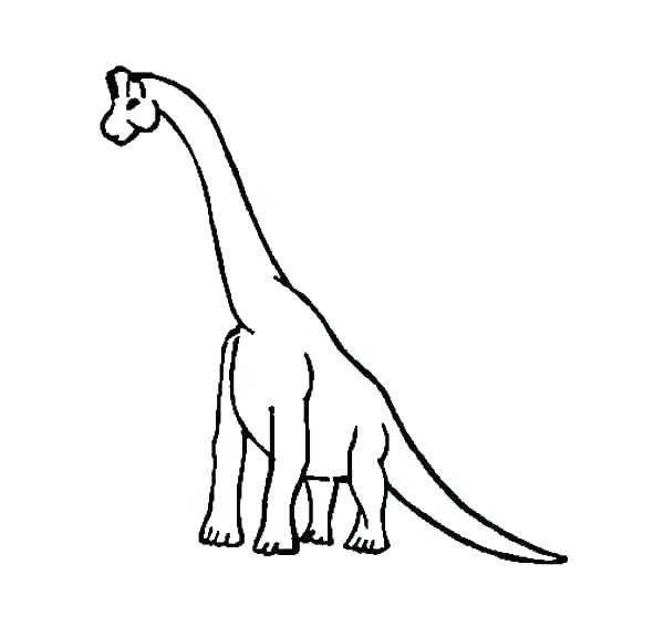 600x558 Dinosaur Skeleton Coloring Pages Fossils Coloring