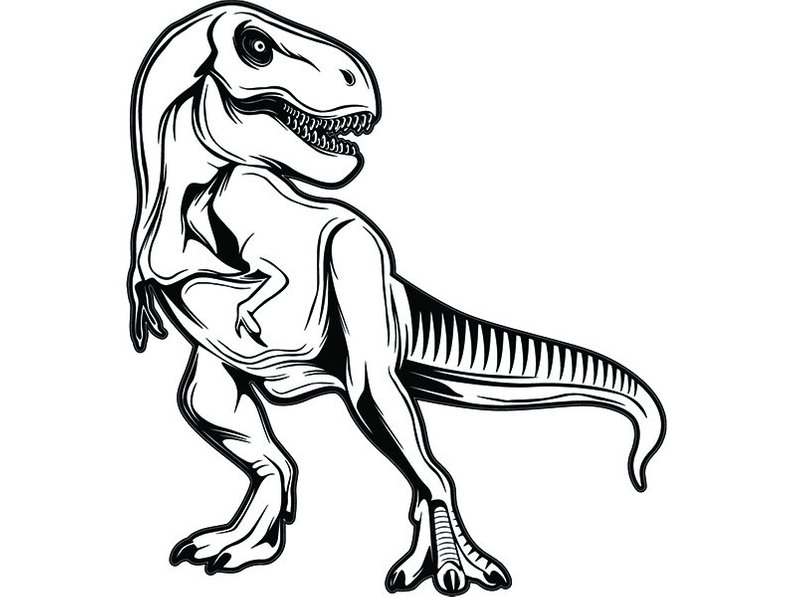 794x597 Tyrannosaurus Rex Dinosaur T Rex Archaeology Fossil Etsy