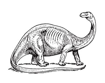 340x270 Dino Fossil Drawing Etsy