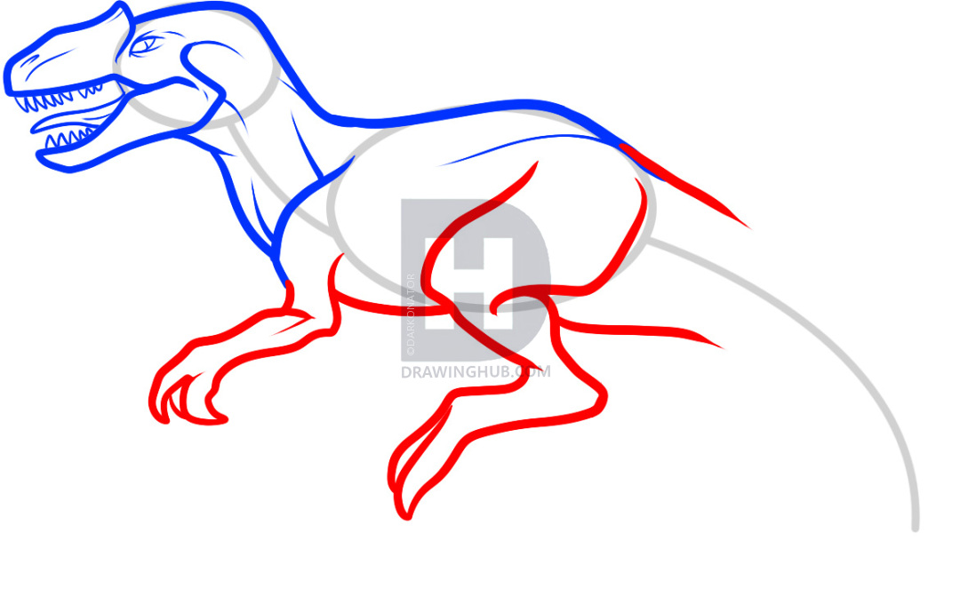 1080x672 how to draw an allosaurus, step