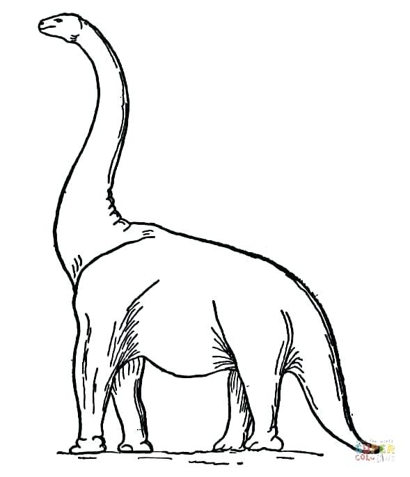 589x685 Dinosaur Outline Coloring Pages Lol Pets Pictures To Color