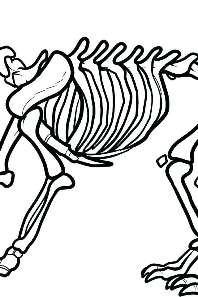 640x960 Fossil Coloring Pages Coloring Dinosaur Dinosaur Bones Coloring
