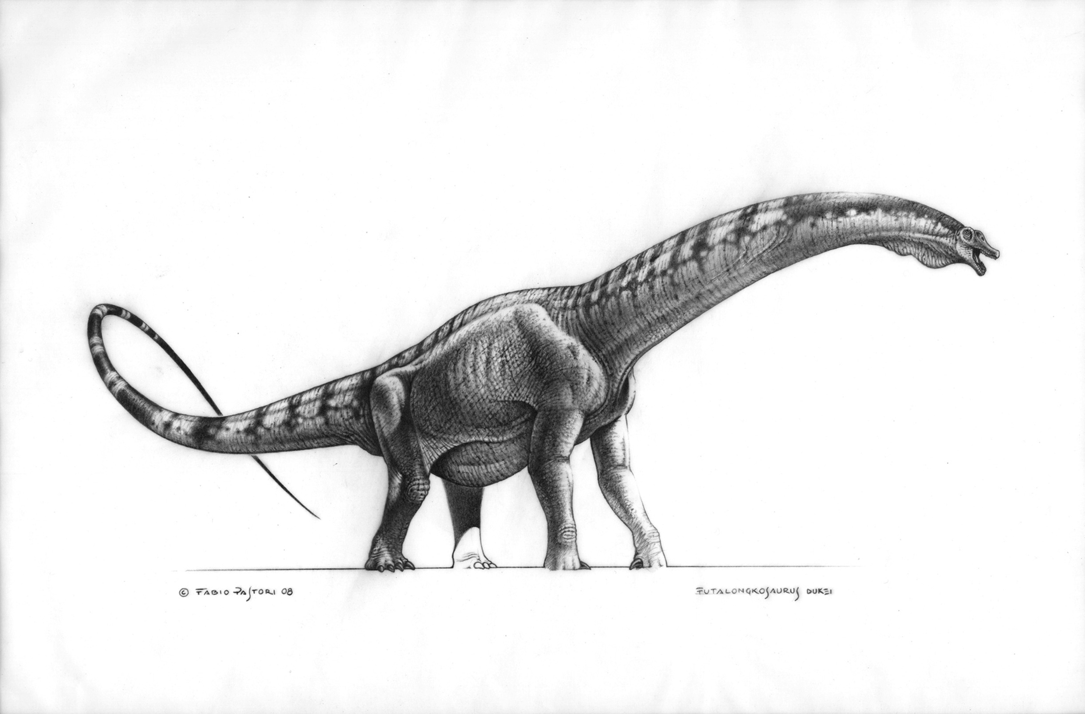 dinosaur sketch art