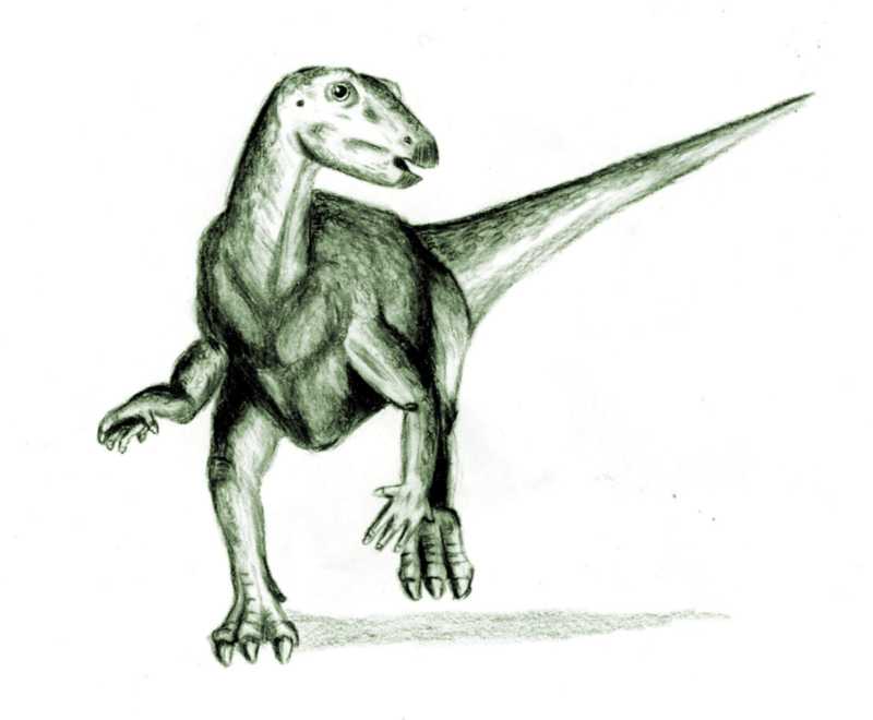 Dinosaur Pencil Drawing | Free download on ClipArtMag