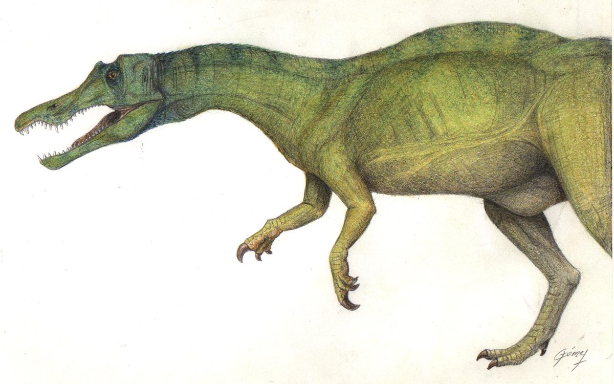 1200x750 Raul Orencio Gomez On Twitter