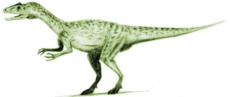 751x317 Monster Dinosaur Halticosaurus