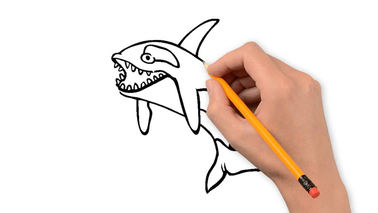 1280x720 Whale Animals Pencil To Draw Step