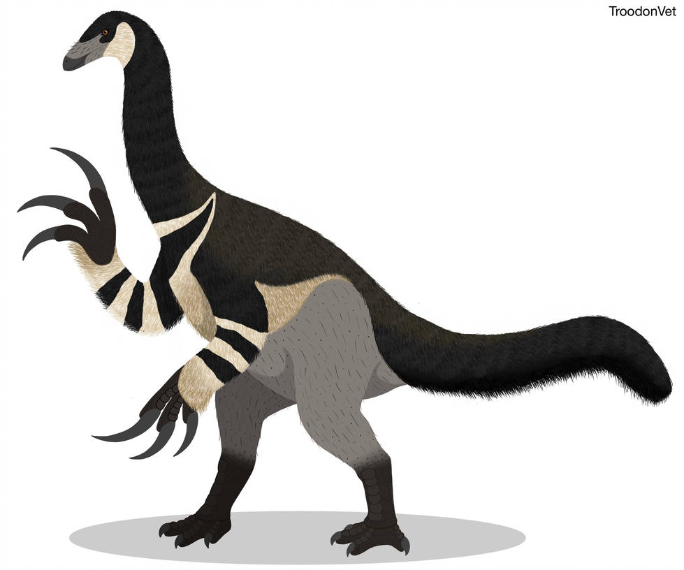979x816 Dino Drawing Therizinosaurus Cheloniformis