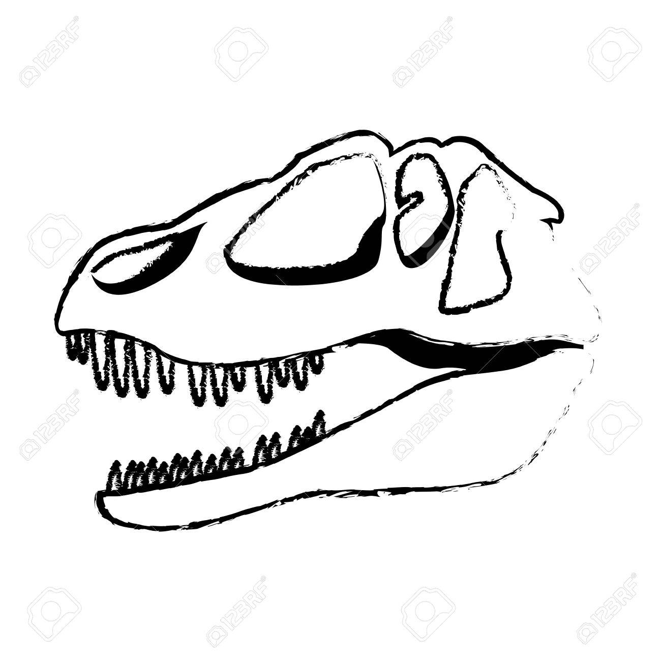 1300x1300 Dinosaur Skull Clipart