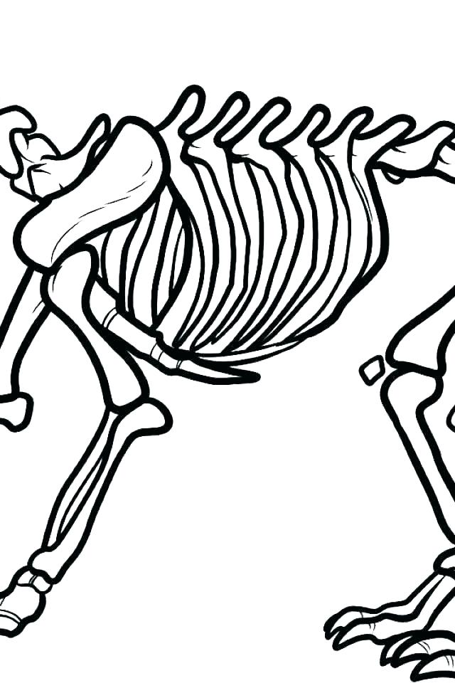 640x960 Dinosaur Skull Drawing At Free For Personal Use Dinosaur Pasta