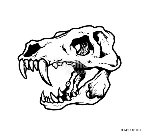 500x466 T Rex Skull Illustration Vector Stock Image And Royalty Free