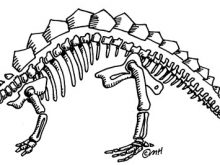 220x165 Transparent Bone Dinosaur Transparent Png Clipart Free Download