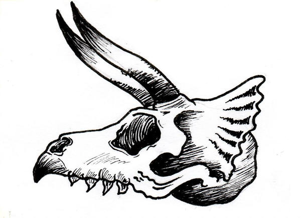 Dinosaur Skull Drawing | Free download on ClipArtMag